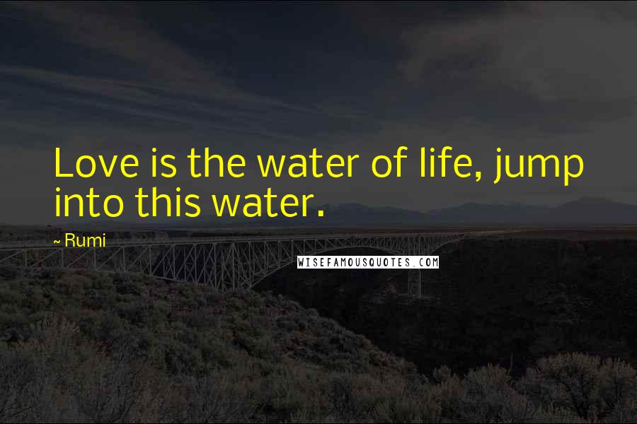 Rumi Quotes: Love is the water of life, jump into this water.