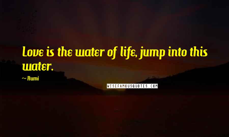 Rumi Quotes: Love is the water of life, jump into this water.