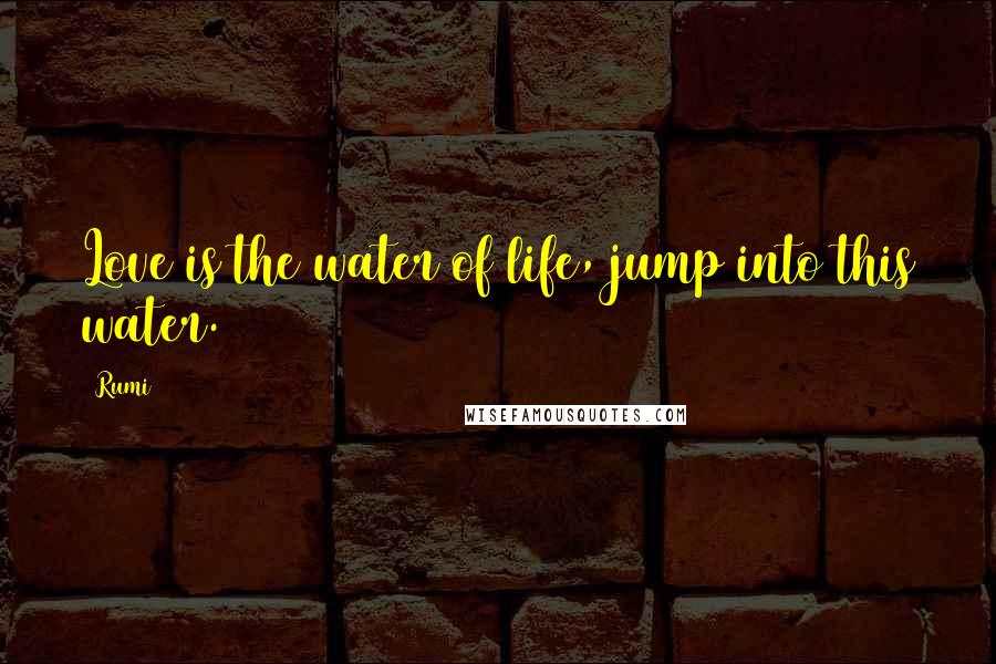 Rumi Quotes: Love is the water of life, jump into this water.