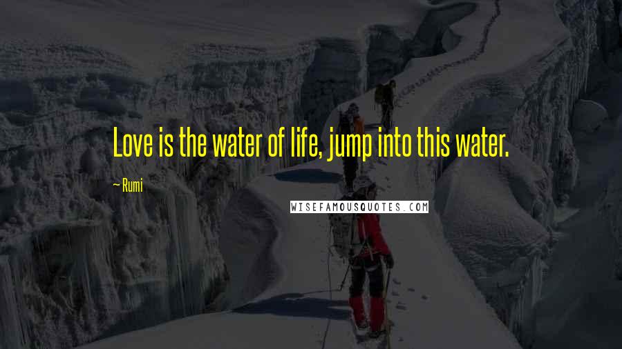 Rumi Quotes: Love is the water of life, jump into this water.