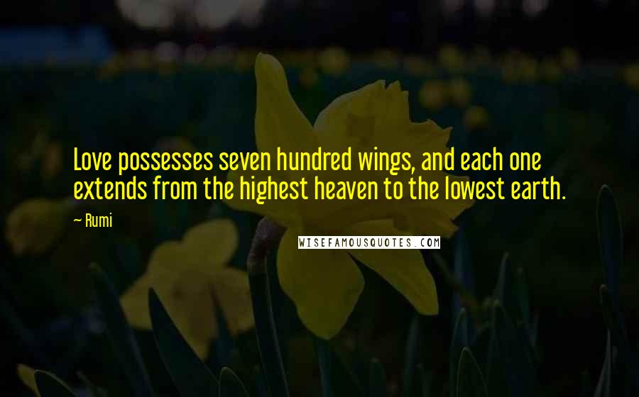 Rumi Quotes: Love possesses seven hundred wings, and each one extends from the highest heaven to the lowest earth.