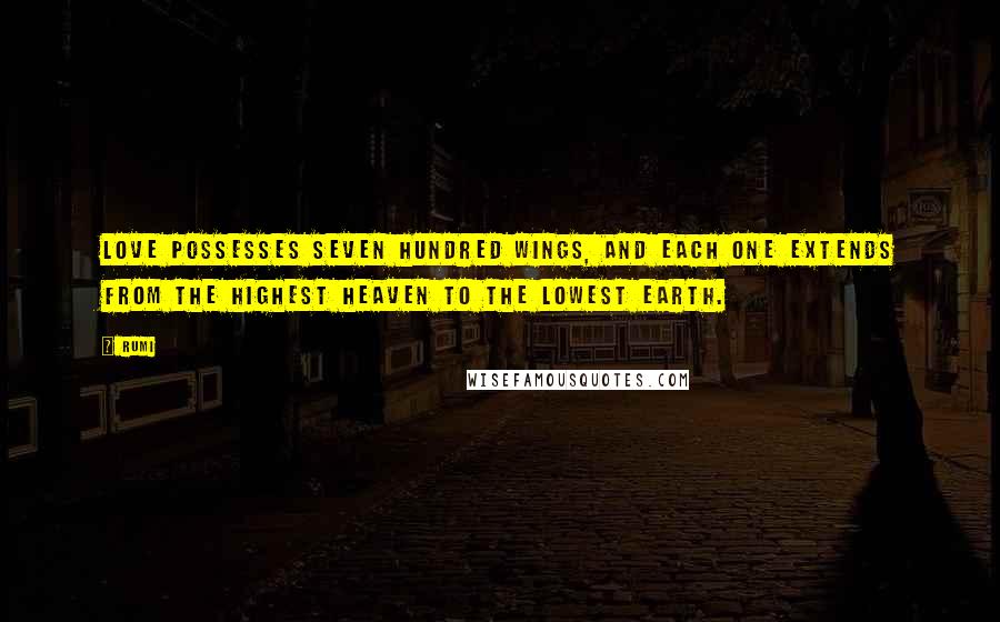 Rumi Quotes: Love possesses seven hundred wings, and each one extends from the highest heaven to the lowest earth.