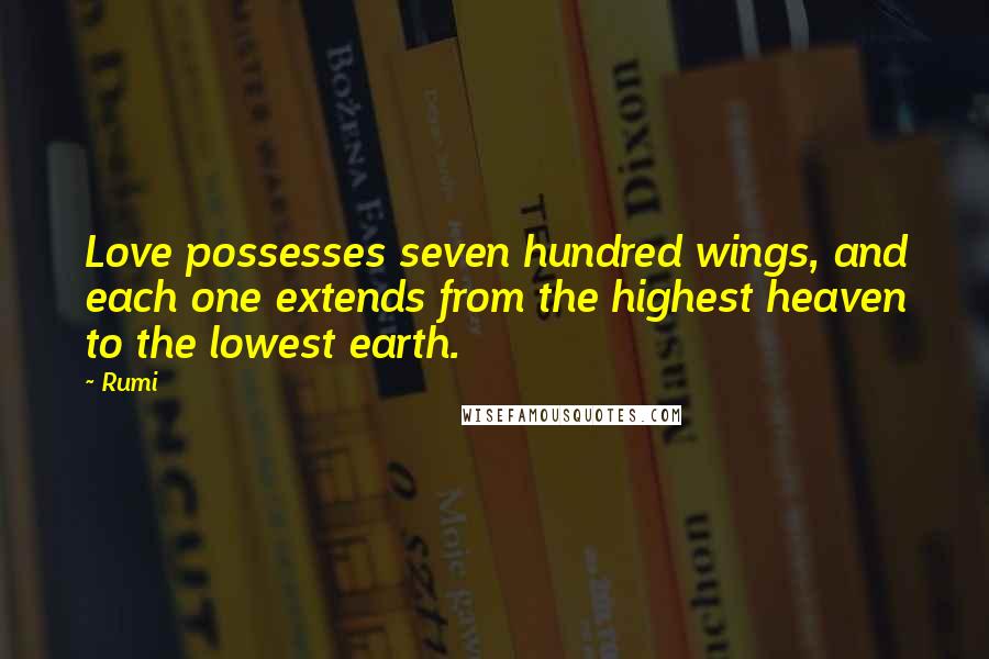 Rumi Quotes: Love possesses seven hundred wings, and each one extends from the highest heaven to the lowest earth.