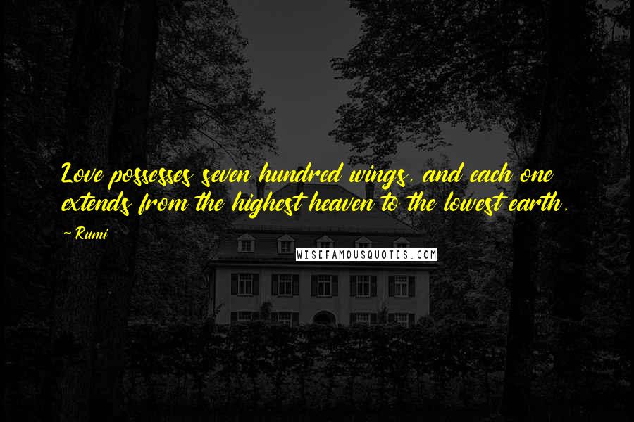 Rumi Quotes: Love possesses seven hundred wings, and each one extends from the highest heaven to the lowest earth.