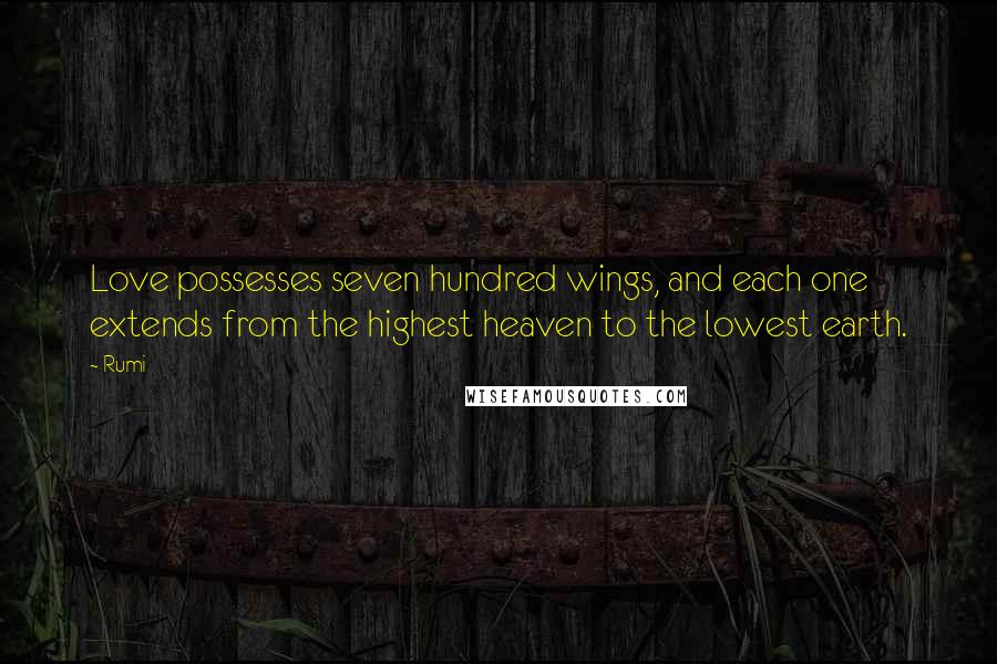 Rumi Quotes: Love possesses seven hundred wings, and each one extends from the highest heaven to the lowest earth.