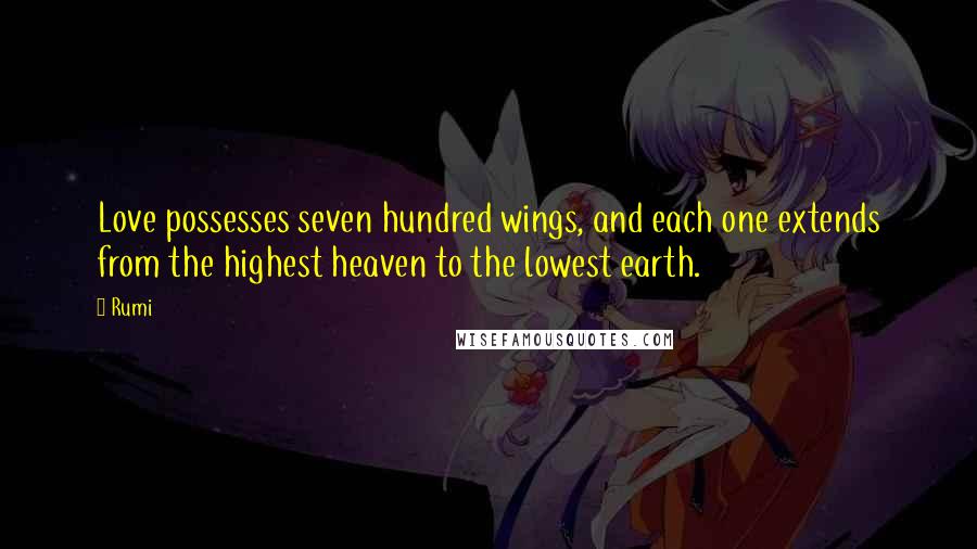 Rumi Quotes: Love possesses seven hundred wings, and each one extends from the highest heaven to the lowest earth.