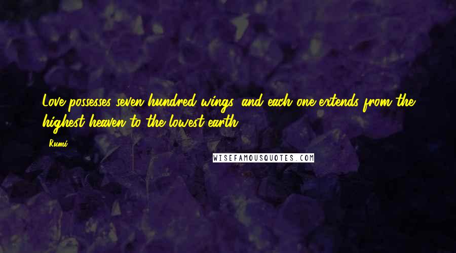 Rumi Quotes: Love possesses seven hundred wings, and each one extends from the highest heaven to the lowest earth.