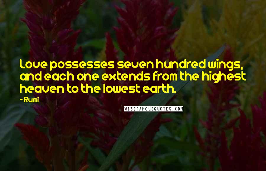 Rumi Quotes: Love possesses seven hundred wings, and each one extends from the highest heaven to the lowest earth.