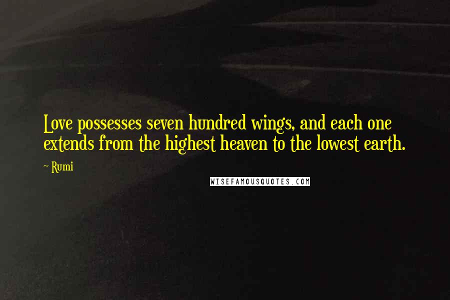 Rumi Quotes: Love possesses seven hundred wings, and each one extends from the highest heaven to the lowest earth.