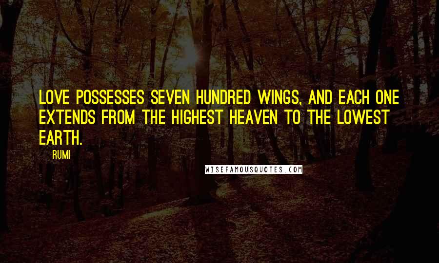 Rumi Quotes: Love possesses seven hundred wings, and each one extends from the highest heaven to the lowest earth.