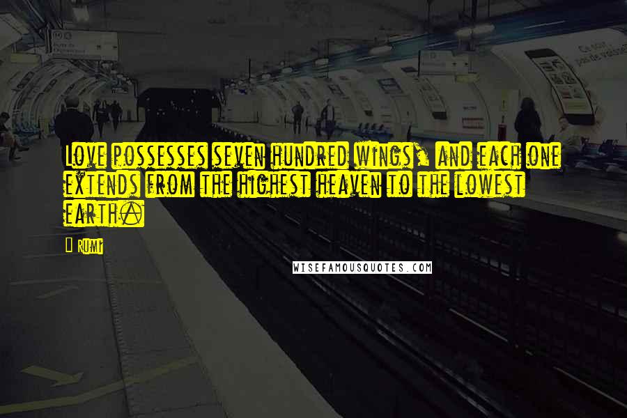 Rumi Quotes: Love possesses seven hundred wings, and each one extends from the highest heaven to the lowest earth.