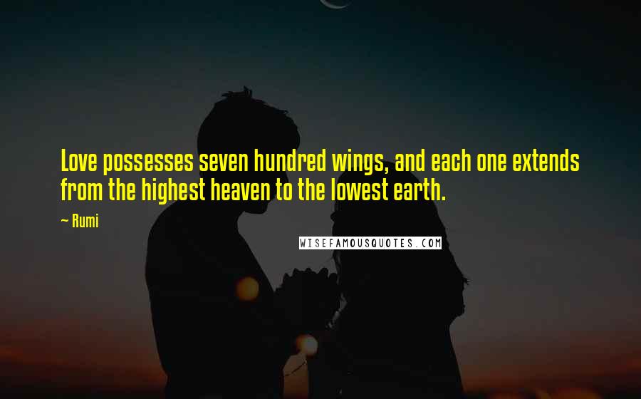 Rumi Quotes: Love possesses seven hundred wings, and each one extends from the highest heaven to the lowest earth.