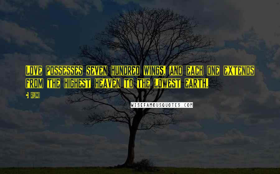 Rumi Quotes: Love possesses seven hundred wings, and each one extends from the highest heaven to the lowest earth.