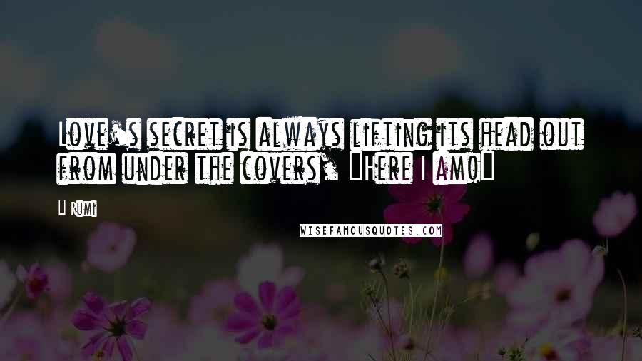 Rumi Quotes: Love's secret is always lifting its head out from under the covers, "Here I am!"