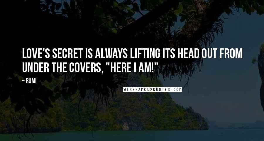 Rumi Quotes: Love's secret is always lifting its head out from under the covers, "Here I am!"