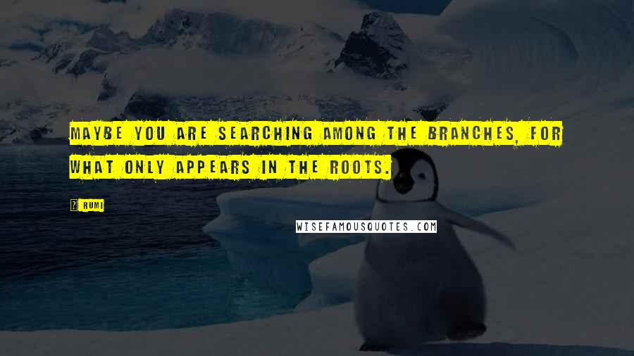 Rumi Quotes: Maybe you are searching among the branches, for what only appears in the roots.