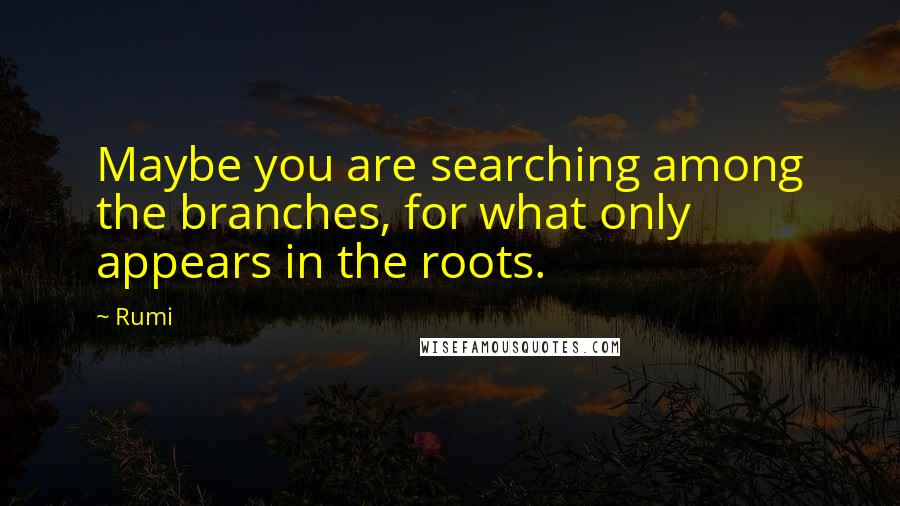 Rumi Quotes: Maybe you are searching among the branches, for what only appears in the roots.