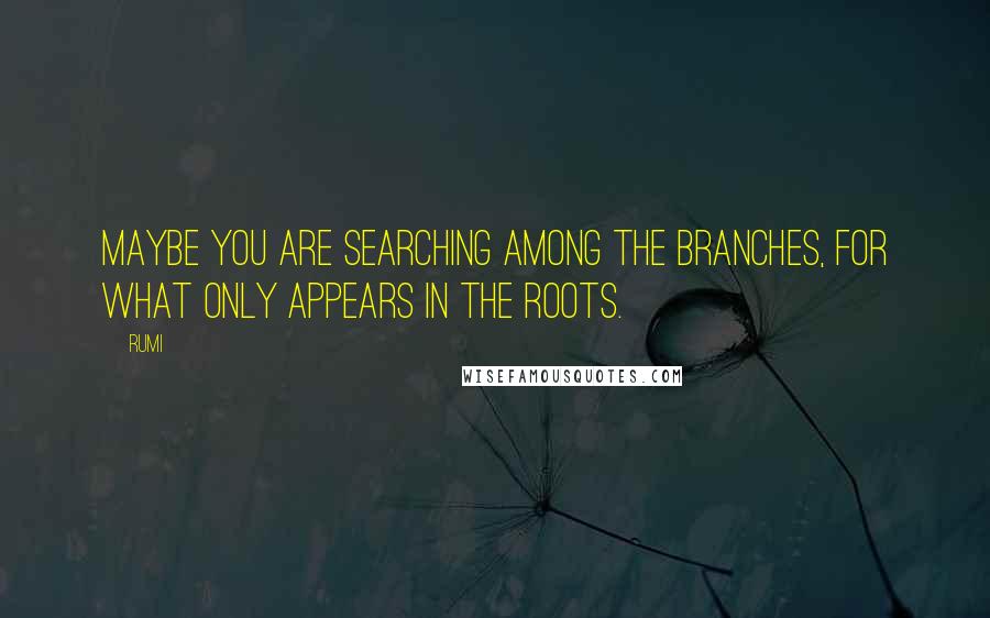 Rumi Quotes: Maybe you are searching among the branches, for what only appears in the roots.