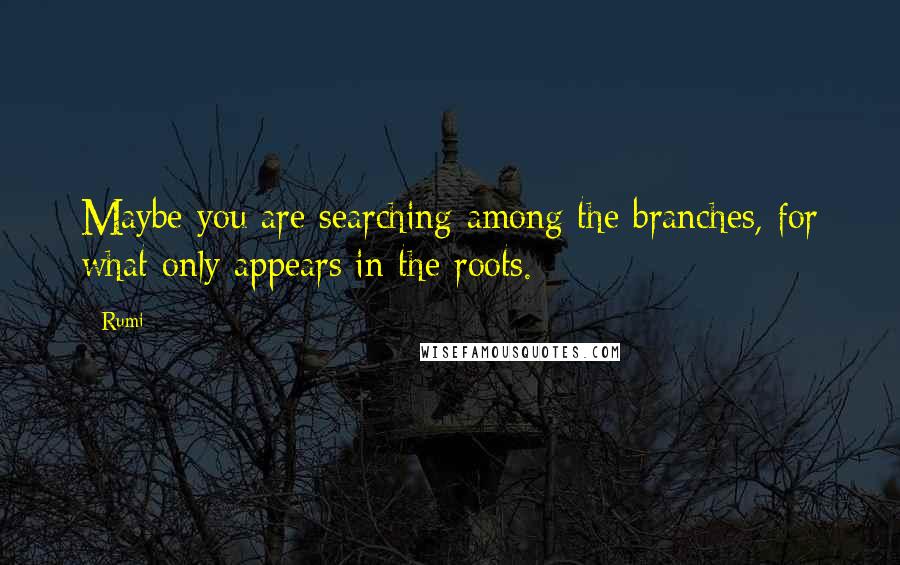 Rumi Quotes: Maybe you are searching among the branches, for what only appears in the roots.