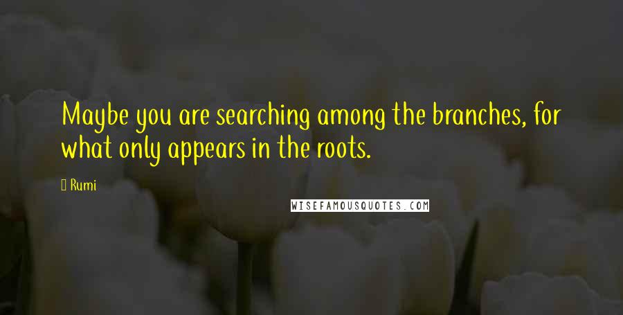 Rumi Quotes: Maybe you are searching among the branches, for what only appears in the roots.