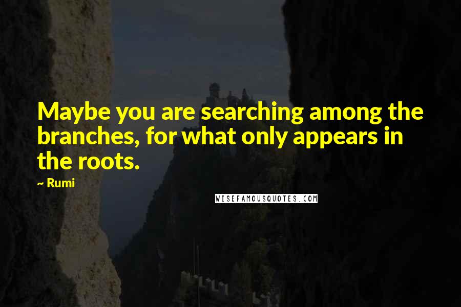 Rumi Quotes: Maybe you are searching among the branches, for what only appears in the roots.