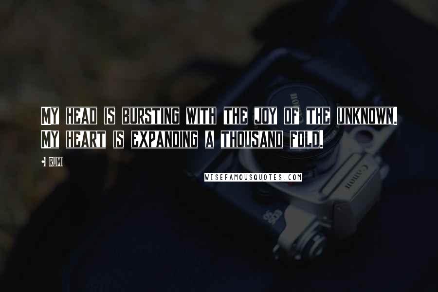 Rumi Quotes: My head is bursting with the joy of the unknown. My heart is expanding a thousand fold.