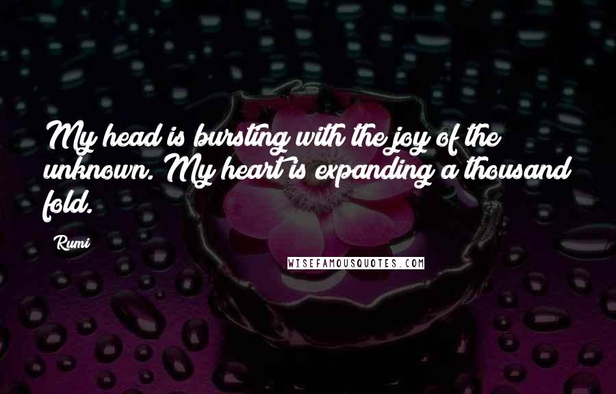 Rumi Quotes: My head is bursting with the joy of the unknown. My heart is expanding a thousand fold.