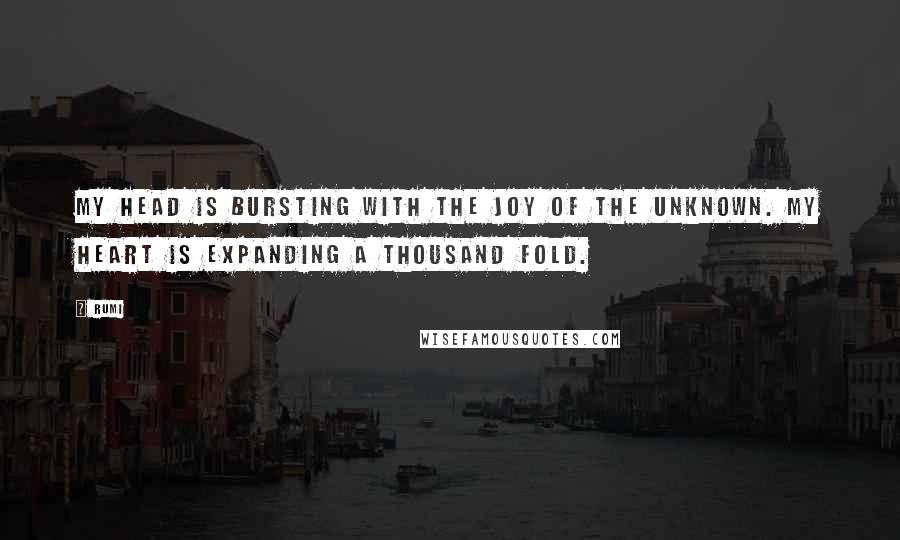 Rumi Quotes: My head is bursting with the joy of the unknown. My heart is expanding a thousand fold.