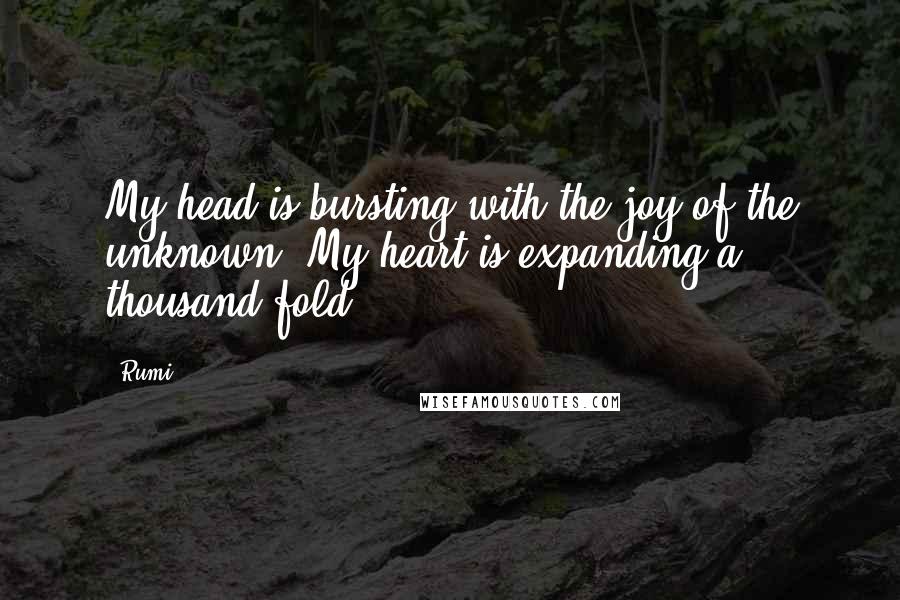 Rumi Quotes: My head is bursting with the joy of the unknown. My heart is expanding a thousand fold.