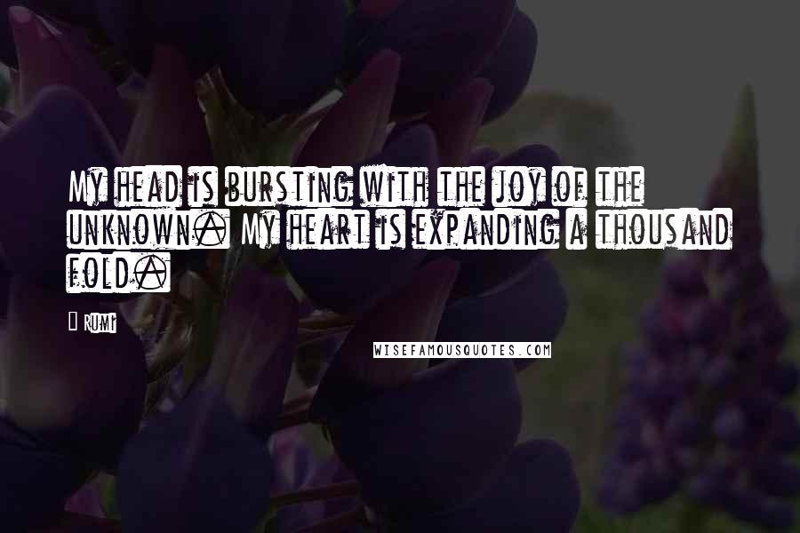 Rumi Quotes: My head is bursting with the joy of the unknown. My heart is expanding a thousand fold.