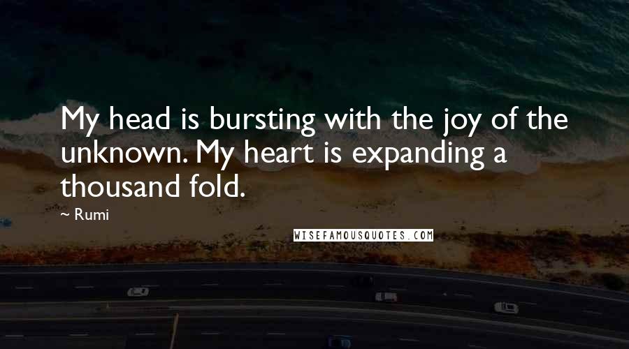 Rumi Quotes: My head is bursting with the joy of the unknown. My heart is expanding a thousand fold.