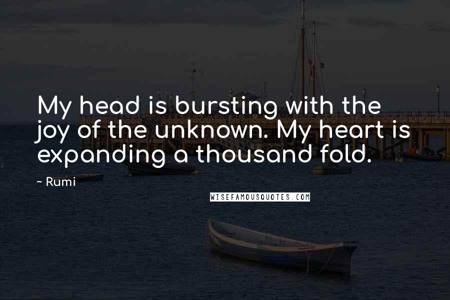 Rumi Quotes: My head is bursting with the joy of the unknown. My heart is expanding a thousand fold.