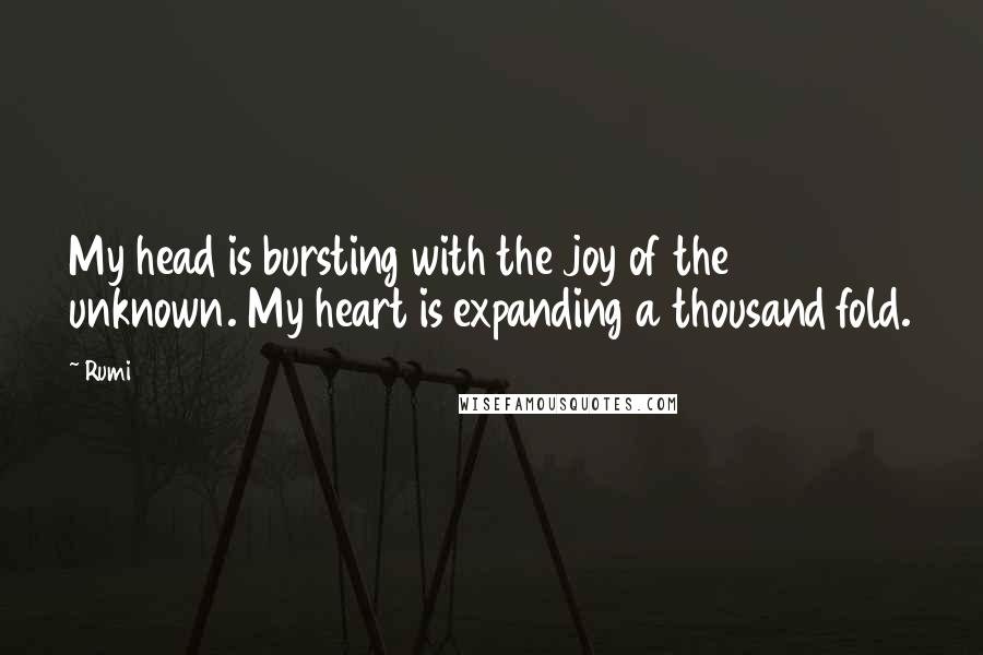 Rumi Quotes: My head is bursting with the joy of the unknown. My heart is expanding a thousand fold.