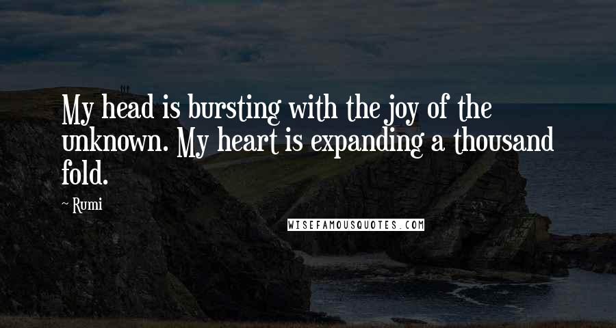 Rumi Quotes: My head is bursting with the joy of the unknown. My heart is expanding a thousand fold.