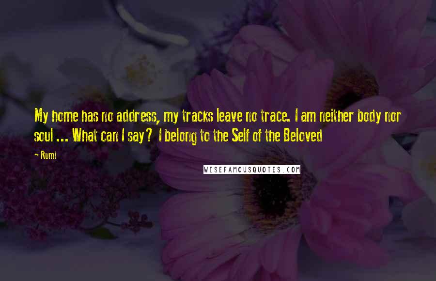 Rumi Quotes: My home has no address, my tracks leave no trace. I am neither body nor soul ... What can I say? I belong to the Self of the Beloved