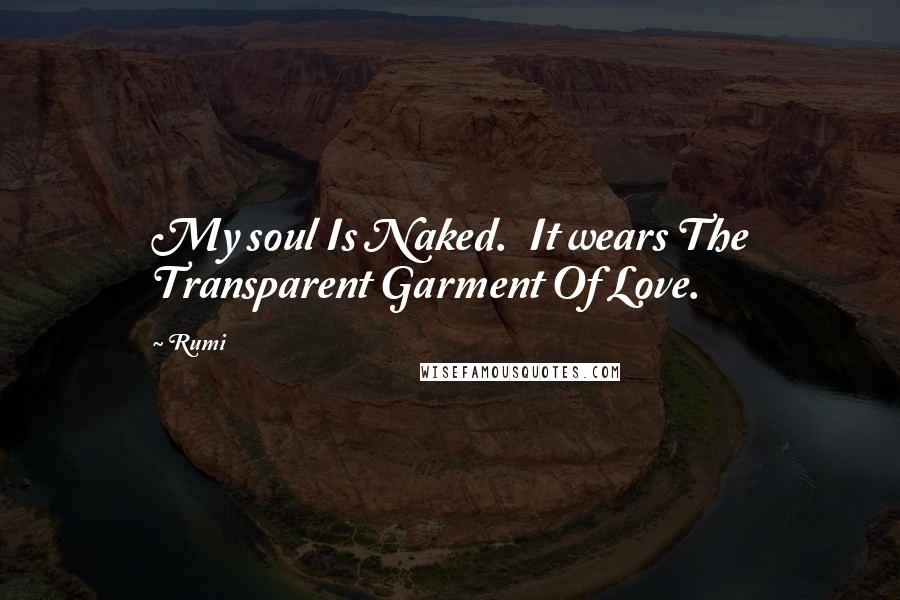 Rumi Quotes: My soul Is Naked. It wears The Transparent Garment Of Love.
