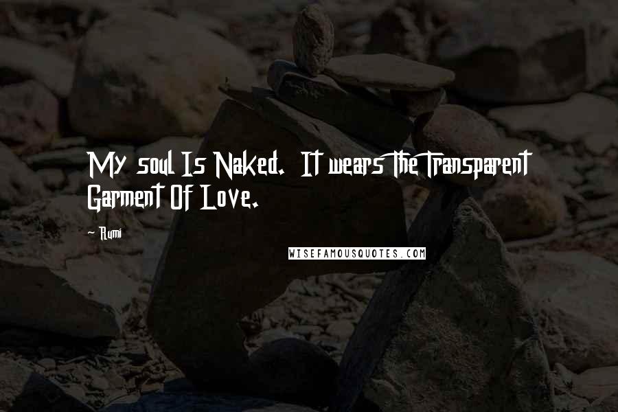 Rumi Quotes: My soul Is Naked. It wears The Transparent Garment Of Love.