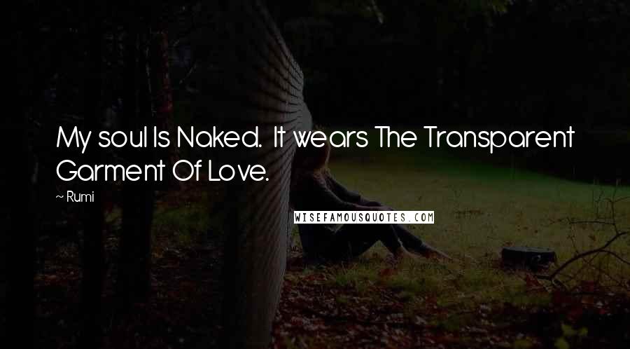 Rumi Quotes: My soul Is Naked. It wears The Transparent Garment Of Love.