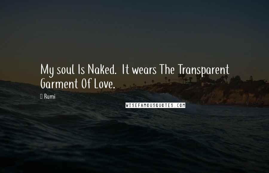 Rumi Quotes: My soul Is Naked. It wears The Transparent Garment Of Love.
