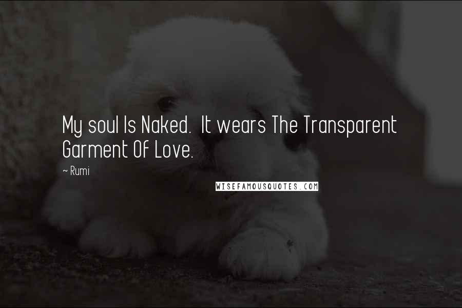 Rumi Quotes: My soul Is Naked. It wears The Transparent Garment Of Love.