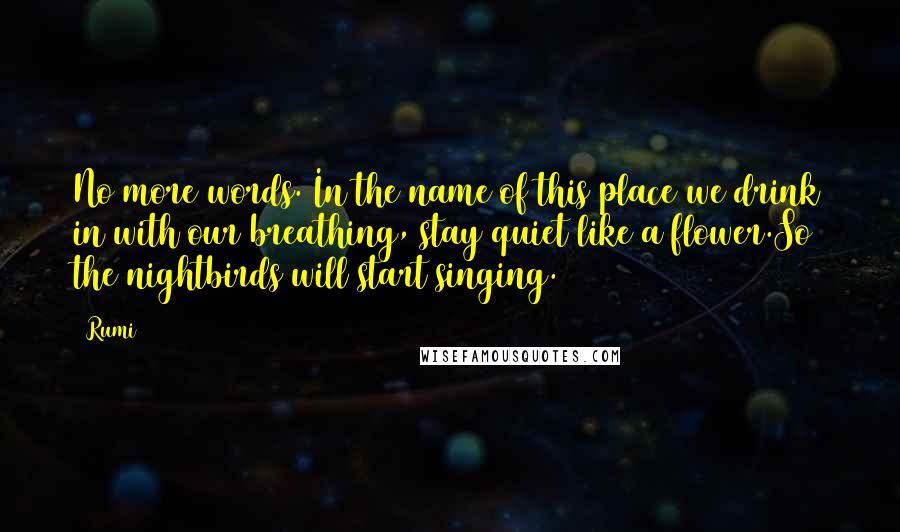 Rumi Quotes: No more words. In the name of this place we drink in with our breathing, stay quiet like a flower.So the nightbirds will start singing.