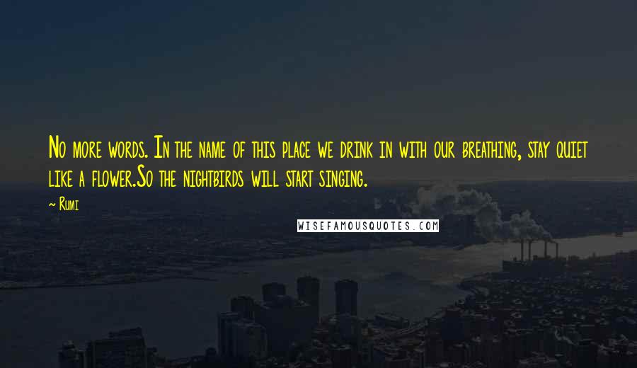 Rumi Quotes: No more words. In the name of this place we drink in with our breathing, stay quiet like a flower.So the nightbirds will start singing.