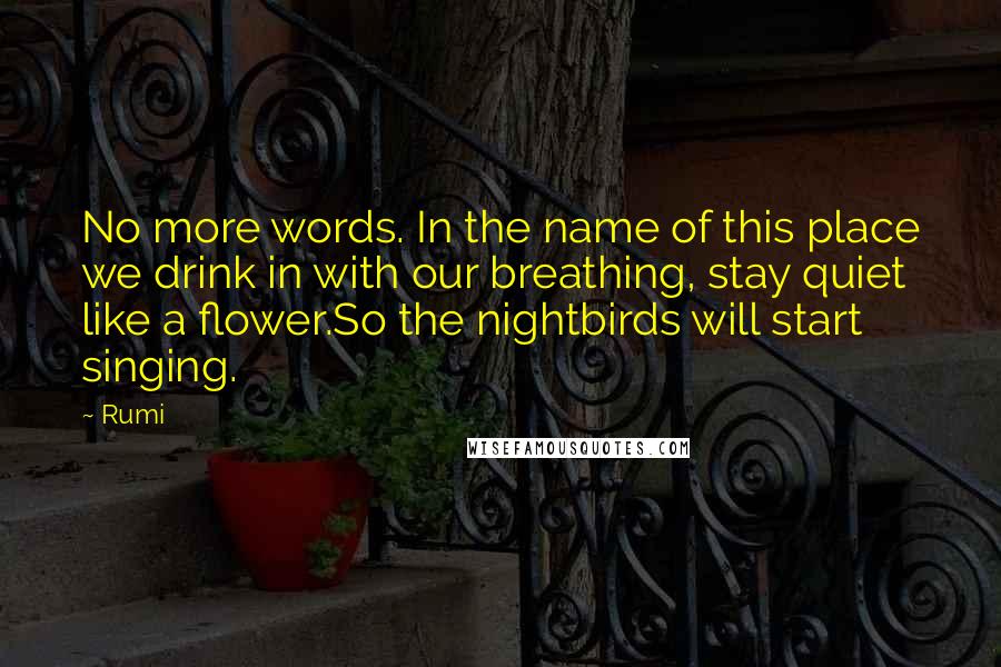 Rumi Quotes: No more words. In the name of this place we drink in with our breathing, stay quiet like a flower.So the nightbirds will start singing.