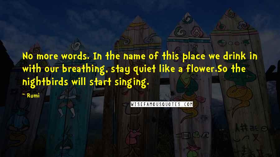 Rumi Quotes: No more words. In the name of this place we drink in with our breathing, stay quiet like a flower.So the nightbirds will start singing.