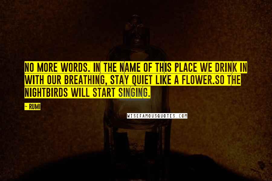 Rumi Quotes: No more words. In the name of this place we drink in with our breathing, stay quiet like a flower.So the nightbirds will start singing.