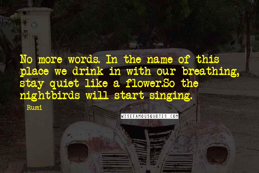 Rumi Quotes: No more words. In the name of this place we drink in with our breathing, stay quiet like a flower.So the nightbirds will start singing.