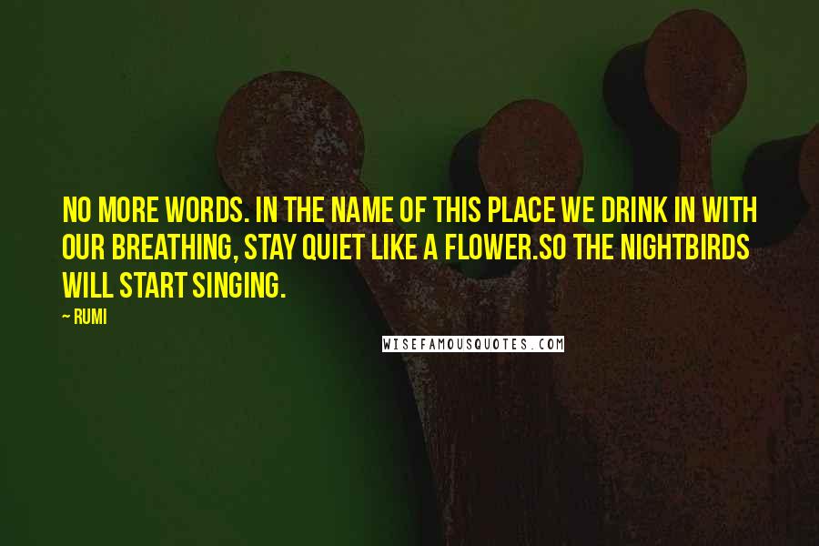 Rumi Quotes: No more words. In the name of this place we drink in with our breathing, stay quiet like a flower.So the nightbirds will start singing.