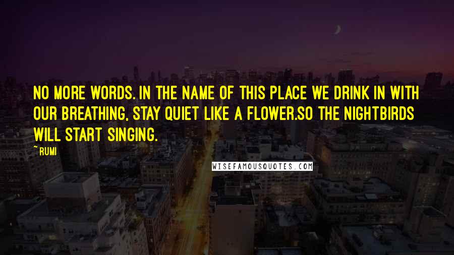 Rumi Quotes: No more words. In the name of this place we drink in with our breathing, stay quiet like a flower.So the nightbirds will start singing.