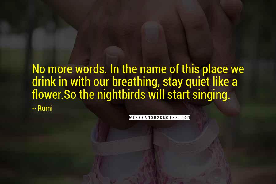 Rumi Quotes: No more words. In the name of this place we drink in with our breathing, stay quiet like a flower.So the nightbirds will start singing.