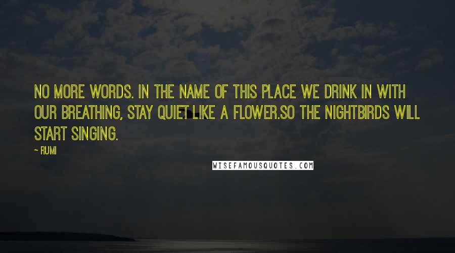 Rumi Quotes: No more words. In the name of this place we drink in with our breathing, stay quiet like a flower.So the nightbirds will start singing.